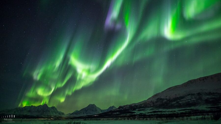Tromsø: Expert Aurora Hunt - Thermal Gear, Food, Campfire - Bonfire Dinner in Lappland Cold: Sausages, Cookies, and Hot Drinks