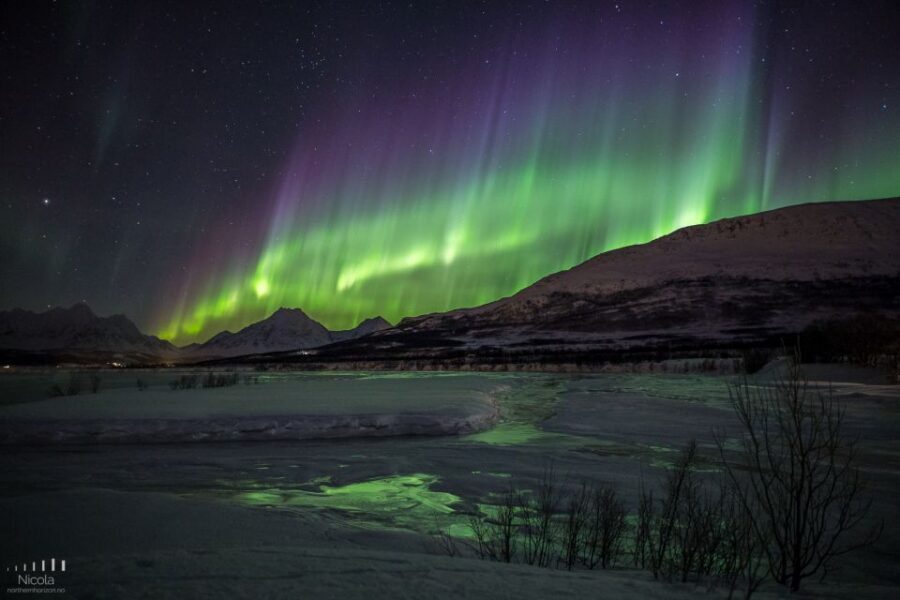 Tromsø: Expert Aurora Hunt - Thermal Gear, Food, Campfire - Price and Value: Is $241 Reasonable for Tromsø Aurora Hunting?