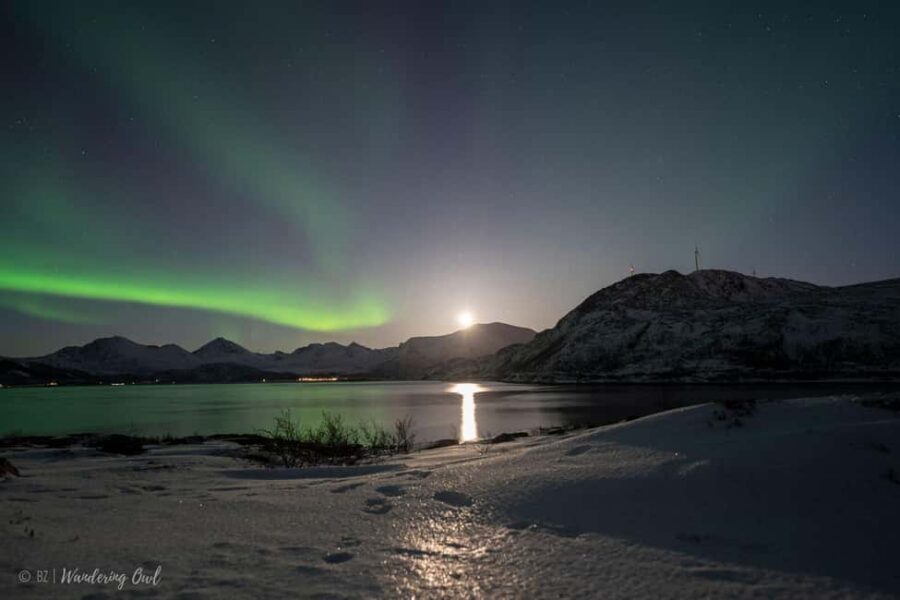Tromsø: Express Aurora Hunt - Why Tromsø’s Express Aurora Hunt Works (Even If You’re Short on Time)