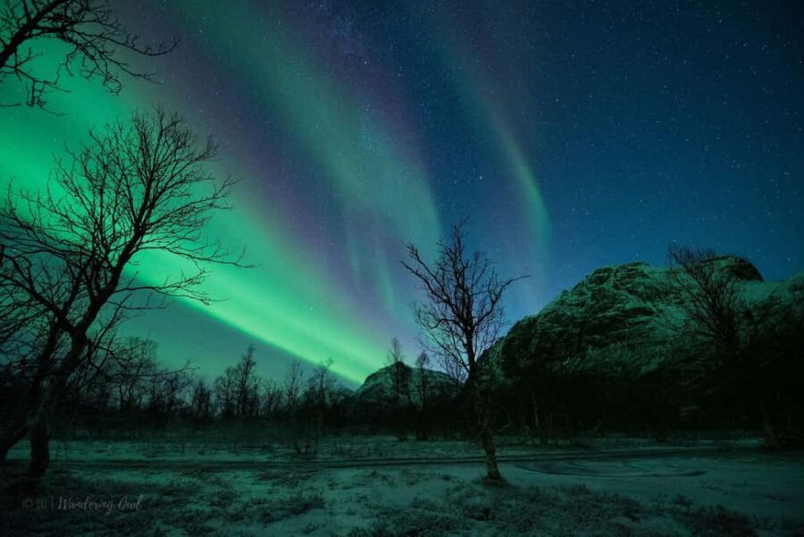 Tromsø: Express Aurora Hunt - What’s Included in the Tour—and What You Must Bring Yourself