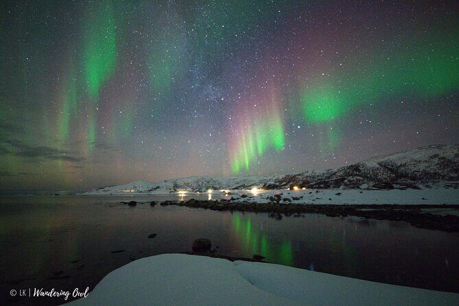Tromsø: Express Aurora Hunt with Wandering Owl - Key things I’d plan around