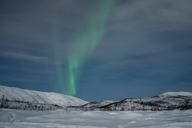Tromsø: Express Aurora Hunt with Wandering Owl - Gear Checklist You Shouldn’t Skip (Because Boots and Thermal Layers Aren’t Included)