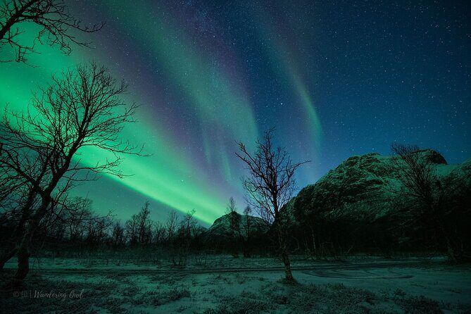 Tromsø: Express Aurora Hunt with Wandering Owl - Price and Value: When $129.23 Makes Sense for an Aurora Hunt