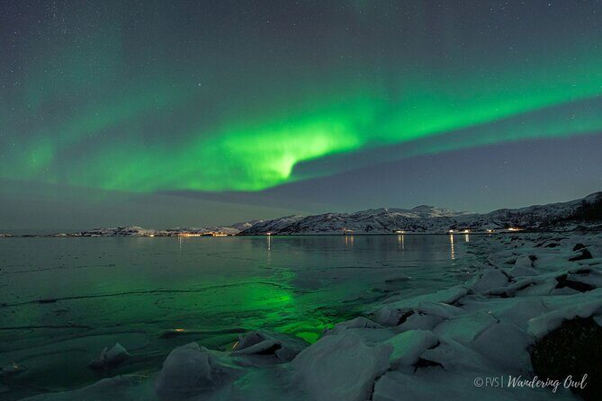 Tromsø: Express Aurora Hunt with Wandering Owl - Who Should Book This Express Hunt (and Who Might Want Another Option)