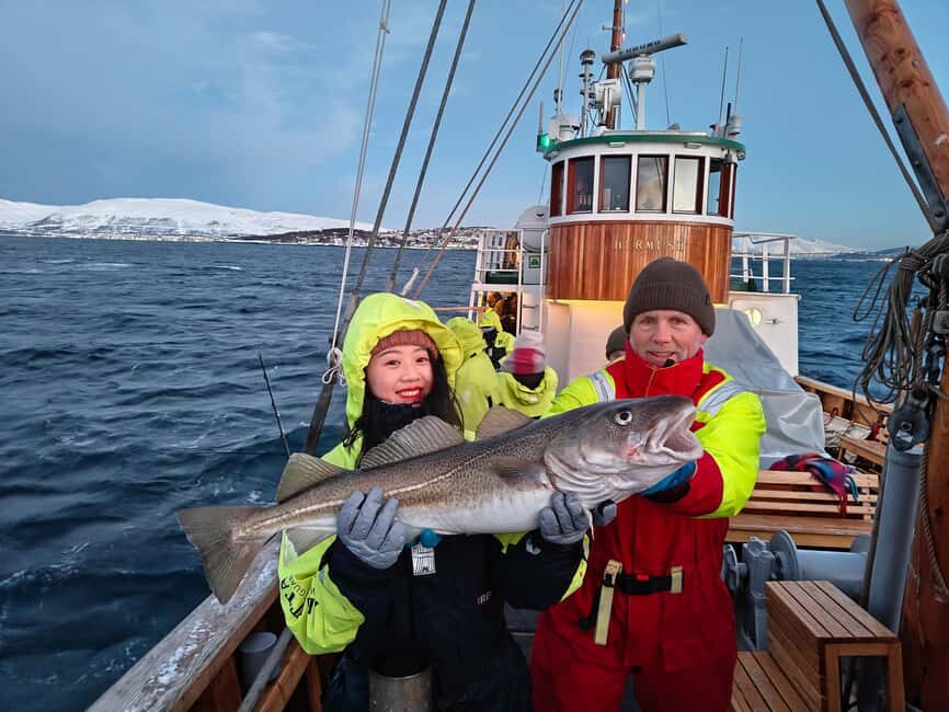 Tromsø: Fishing & Fjord Cruise - Key points worth knowing before you book