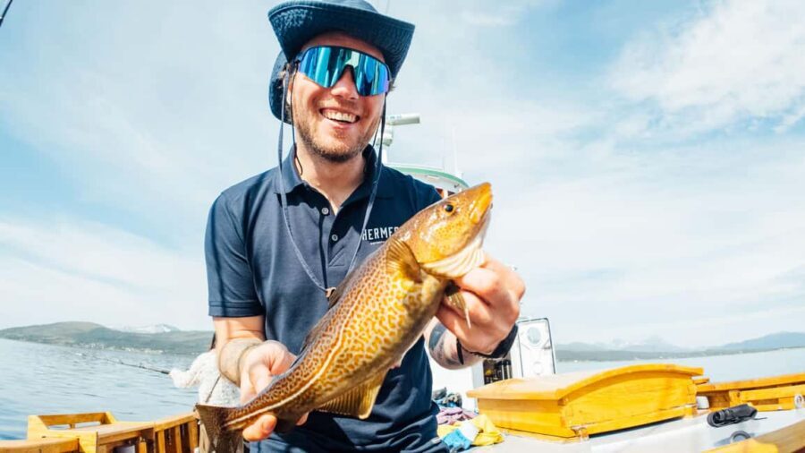 Tromsø: Fishing & Fjord Cruise - Price and value: is $198 worth it?