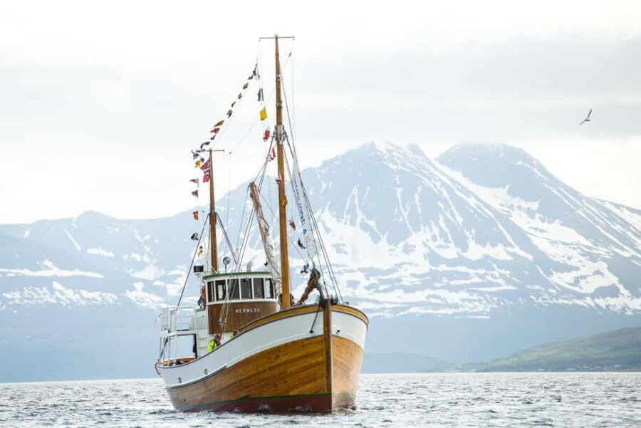 Tromsø: Fishing & Fjord Cruise - Fishing from the boat: how rotation and rods affect your odds