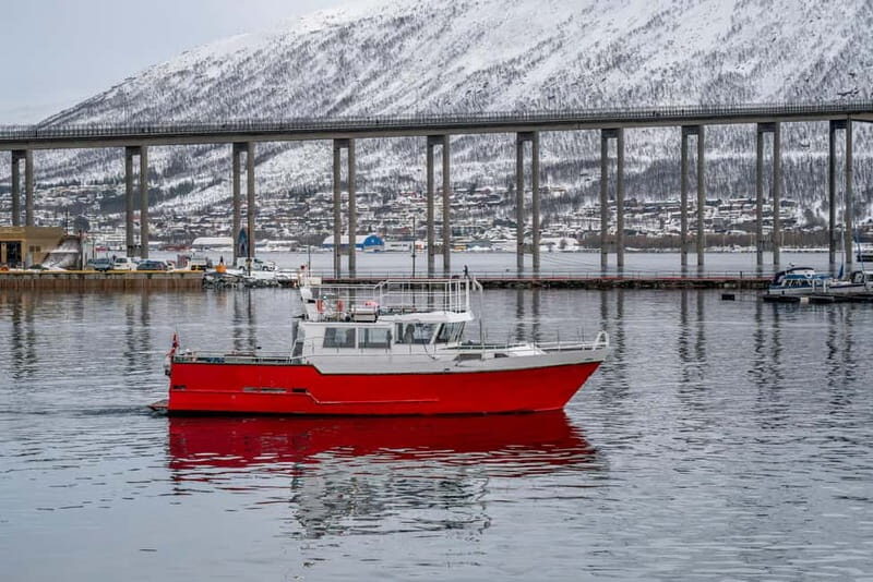 Tromso fishing Sea Safari - Meeting at Brillehuset Tromsø AS: easy start, easy return