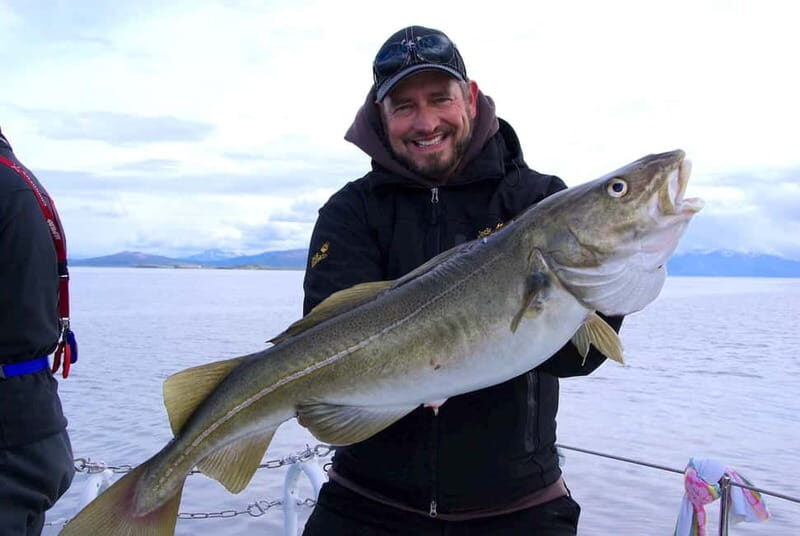 Tromso fishing Sea Safari - Language and communication: English support on board