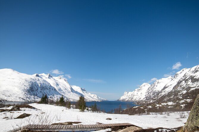 Tromsø: Fjord Adventure Tour with Wildlife and Lunch - Tromsø Fjords in Motion: What This Trip Feels Like