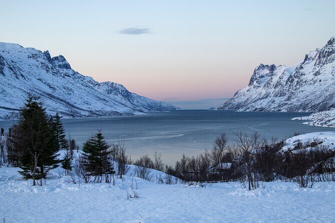 Tromsø: Fjord Adventure Tour with Wildlife and Lunch - Meeting Point, Start Time, and the Rhythm of a 6-Hour Day
