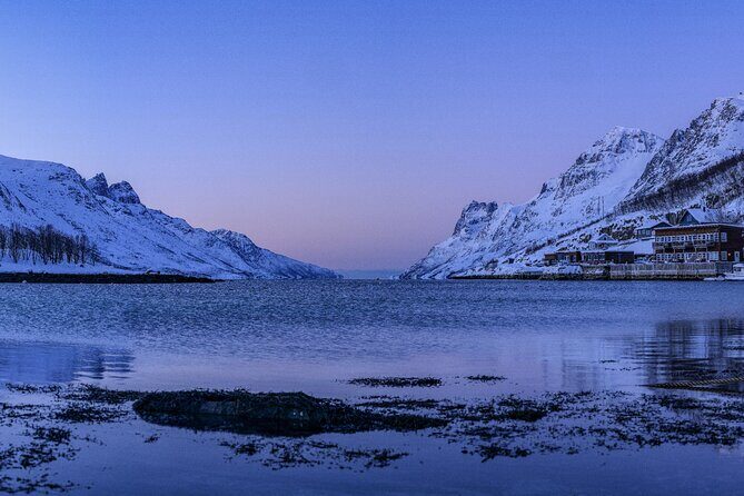 Tromsø: Fjord Adventure Tour with Wildlife and Lunch - Pace, Comfort, and the Small Stuff That Makes or Breaks the Day