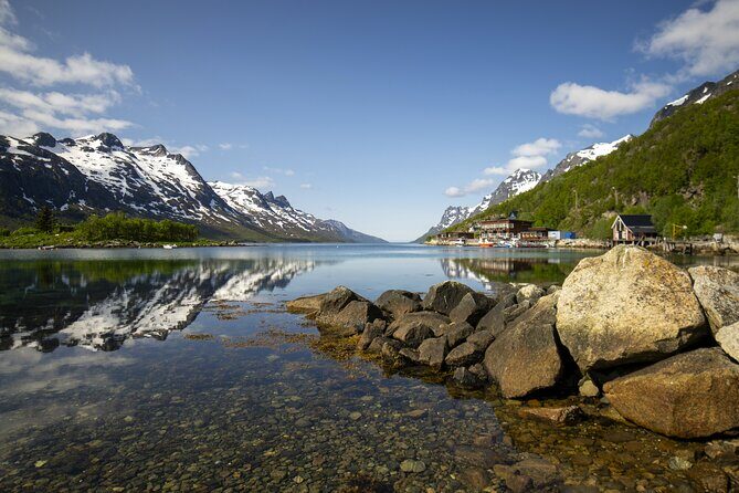 Tromsø: Fjord Adventure Tour with Wildlife and Lunch - Wildlife Reality Check: How to Set Expectations Without Killing the Fun