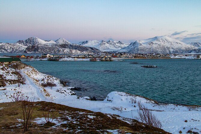 Tromsø: Fjord Adventure Tour with Wildlife and Lunch - Value for $127.57: What You’re Really Paying For