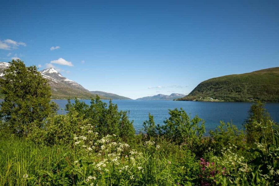 Tromsø: Fjord Adventure with Lunch and Photos - Should You Book This Tromsø Fjord Adventure?