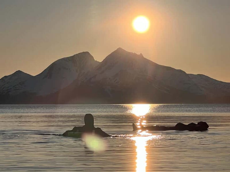 Tromsø: Fjord and Floating Safari, Arctic Floating - Bonfire Norway-Style: Drinks and Freshly Cooked Food
