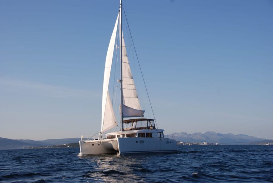 Tromsø: Fjord and Islands Luxury Catamaran Cruise - Key highlights at a glance