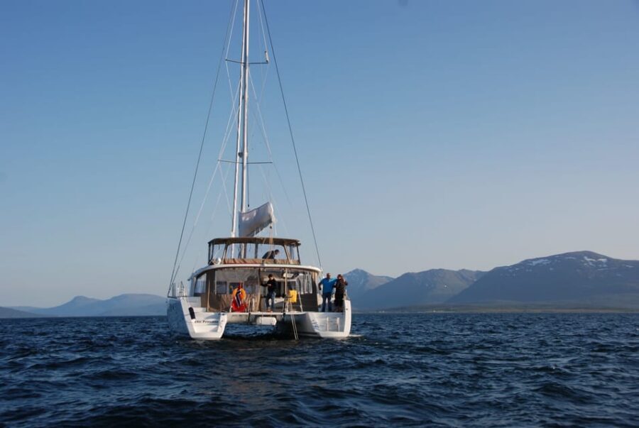 Tromsø: Fjord and Islands Luxury Catamaran Cruise - Fishing off the catamaran: gear included, rules simple, payoff real