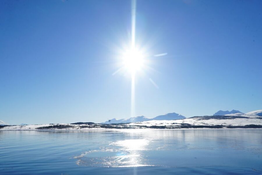 Tromsø: Fjord Cruise by Luxury Yacht - Should You Book This Fjord Cruise by Luxury Yacht?