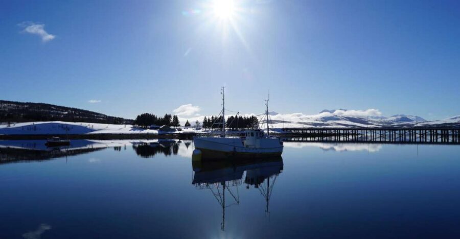 Tromsø: Fjord Cruise by Luxury Yacht - Fishing and Captaining: Hands-On Moments Without the Pressure