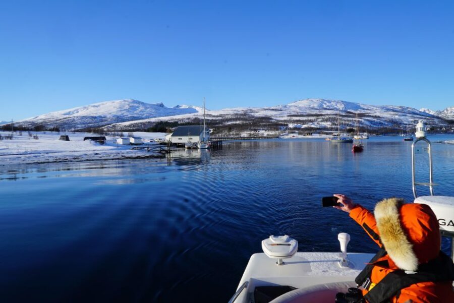 Tromsø: Fjord Cruise by Luxury Yacht - Price and Value: Is $236 Worth It for a 3-Hour Cruise?