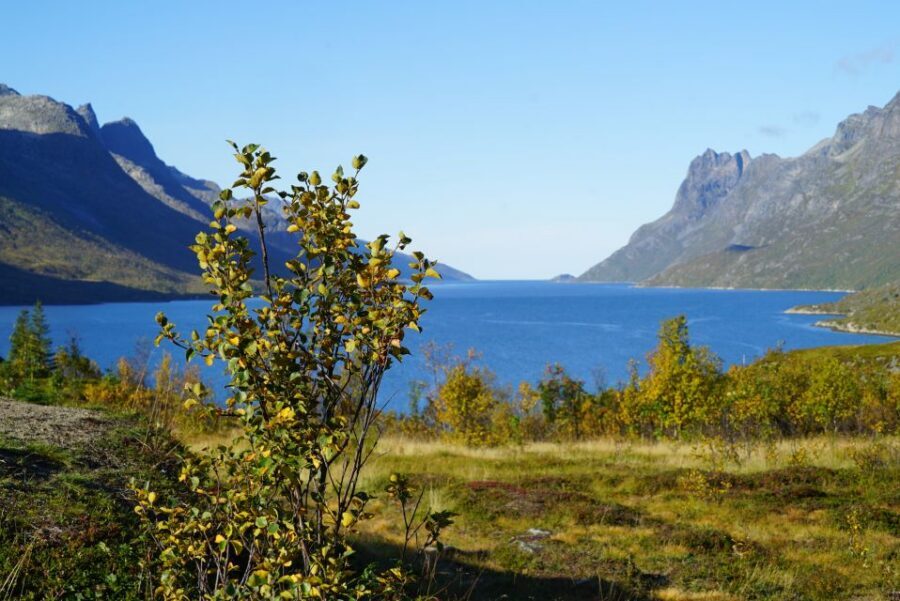 Tromsø: Fjord Sightseeing in a Tesla X Luxury Electric Car - Why This Tromsø Fjord Tour Feels Different in an Electric Car