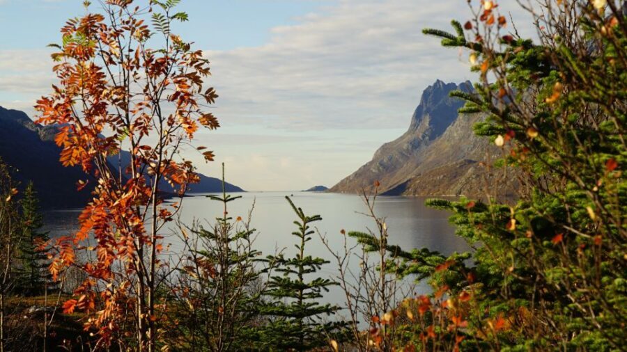 Tromsø: Fjord Sightseeing in a Tesla X Luxury Electric Car - The Big Payoff: Kaldfjord, Ersfjord, and Grøtfjord