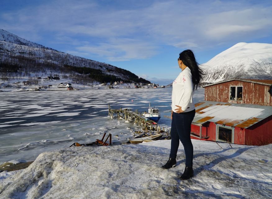 Tromsø: Fjord Sightseeing in a Tesla X Luxury Electric Car - The Ersfjordbotn Café Stop: Lunch With Sea-and-Mountain Views