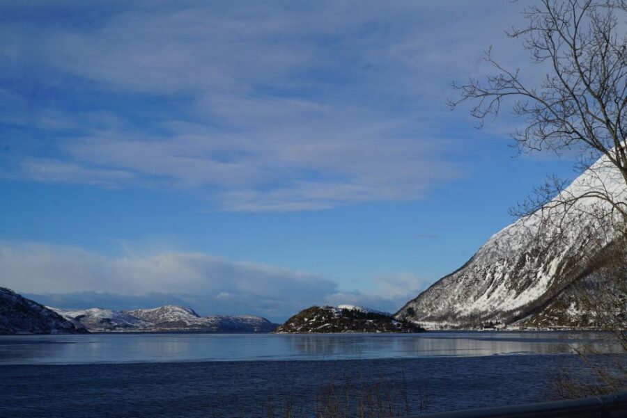 Tromsø: Fjord Sightseeing in a Tesla X Luxury Electric Car - Price and Value: Is $199 Worth It?