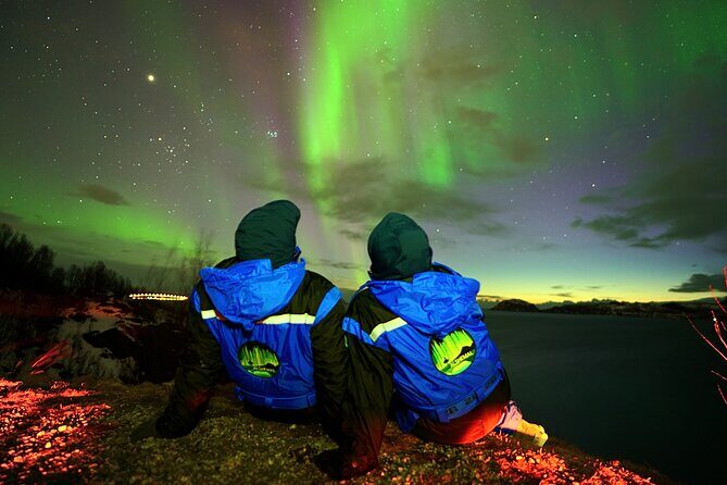 Tromsø Fjordland Aurora Chase Northern Lights by the Arctic Sea - The campfire break: grilled corn, marshmallows, and hot chocolate