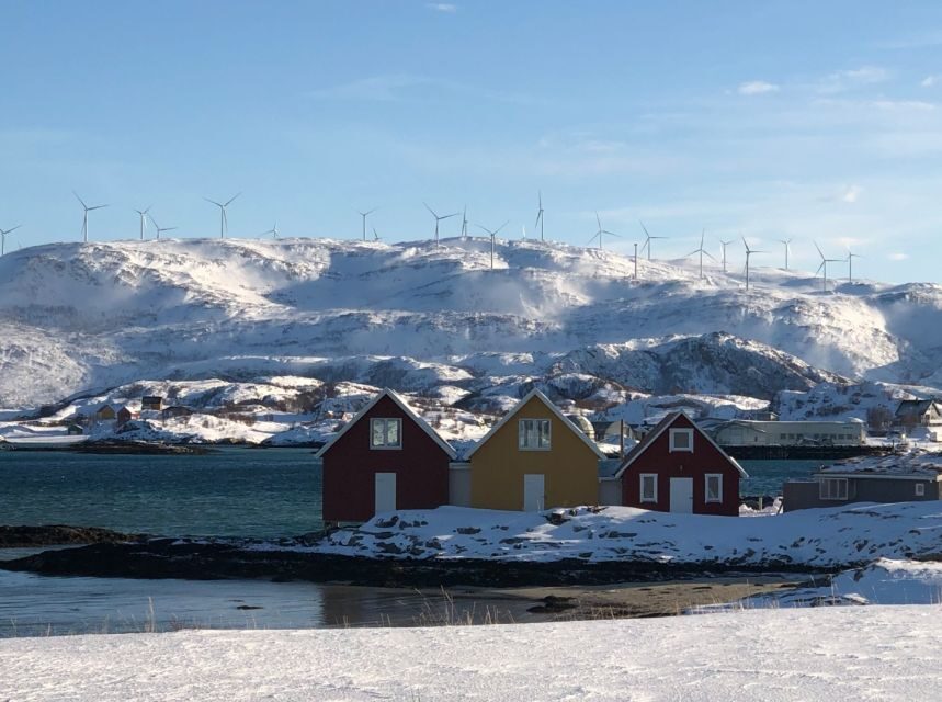 Tromsø: Fjords and Sommarøy Islands Tour with Salmon Picnic - Key things I’d plan around