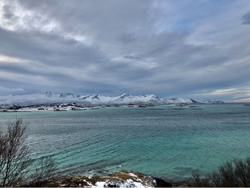 Tromsø: Fjords and Sommarøy Islands Tour with Salmon Picnic - The Road to the Fjords: Viewpoints, Wildlife Hopes, and Bridge Views