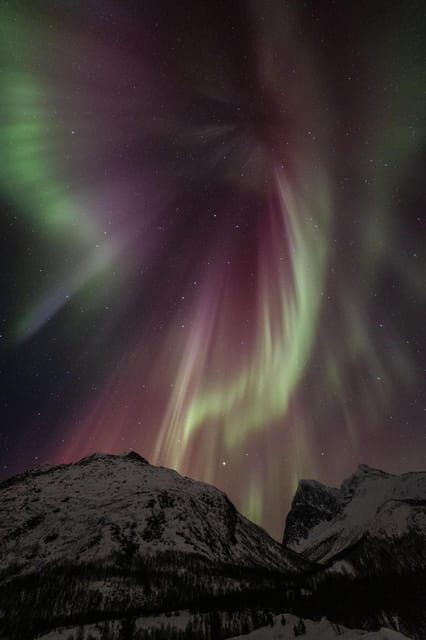 Tromsø: Fjords & Beaches Tour with Campfire and Arctic Food - Who should book this tour, and who should skip it