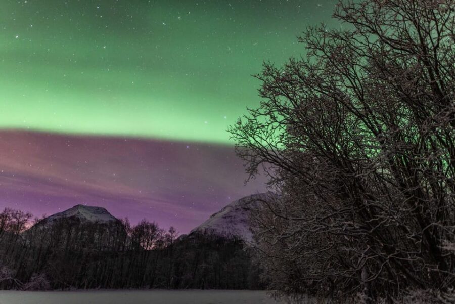 Tromsø: Fjords & Beaches Tour with campfire and Arctic food - Price and Value: What $310.85 Really Buys