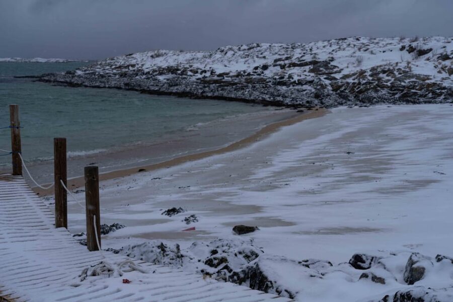 Tromsø: Fjords & Beaches Tour with campfire and Arctic food - Who Should Book This Tromsø Fjords & Beaches Tour
