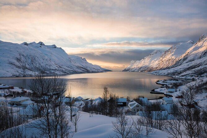 Tromso fjords road trip with fire in grill cabin by the beach. - Key highlights you’ll notice right away