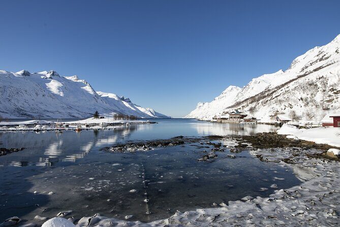 Tromso fjords road trip with fire in grill cabin by the beach. - Small-group cruising near public transportation