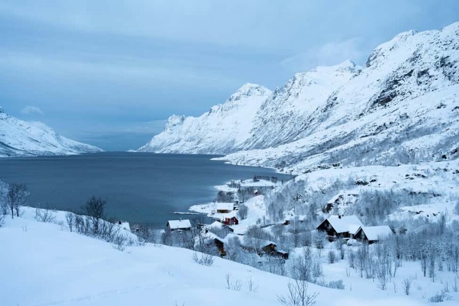 Tromsø: Fjords & Sommarøy Tour with Warm Local Lunch Option - Your guide Alejandro: stories, photo help, and an easy pace
