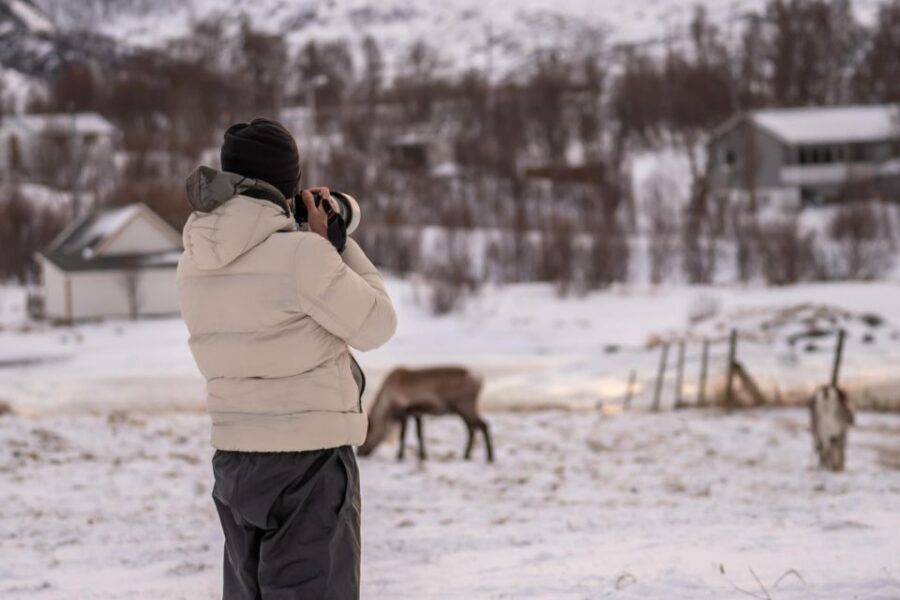 Tromsø: Fjords Tour - Kvaløya Stop: Coastal Photos, Arctic Light, and Weather Reality
