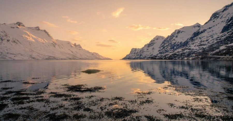 Tromsø: Fjords Tour - Ersfjordbotn Photo Stop: A 20-Minute Moment That Builds the Bigger Story