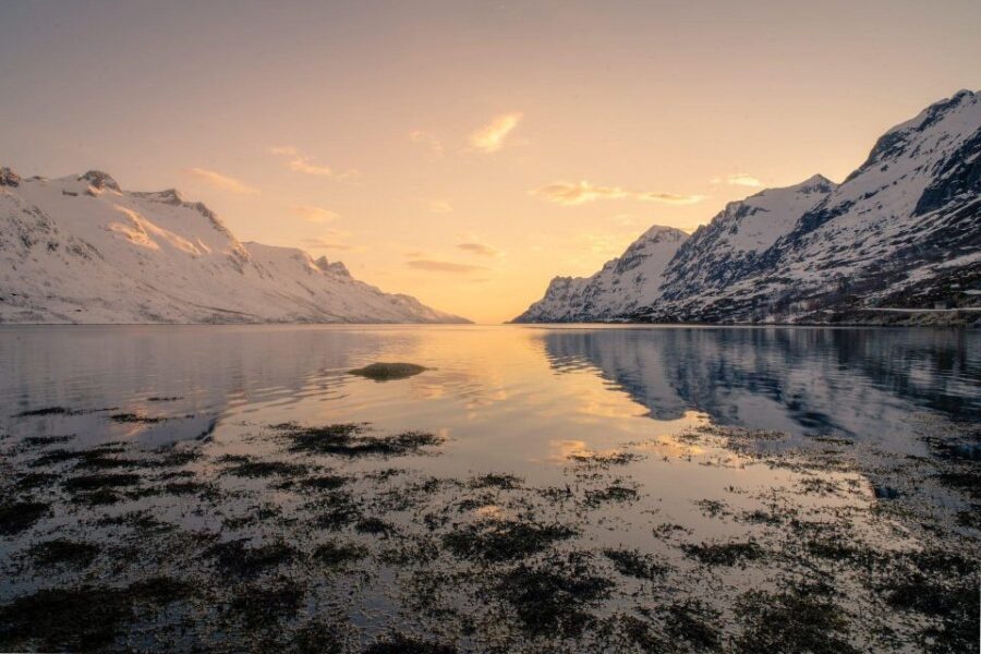 Tromsø: Fjords Tour - Fishing Village Photo Stop: Your Fjord Day Lands Where Life Is
