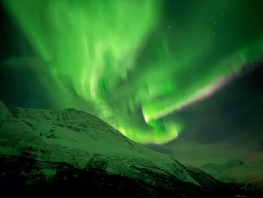 Tromsø: Full Night Magic of the Northern Lights - How the Route Changes: Forecast-Driven Coasts and a Finland-Edge Option