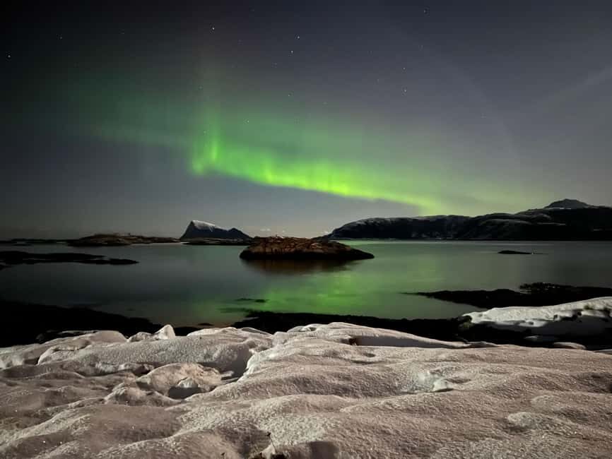 Tromsø: Full Night Magic of the Northern Lights - The Viewing Session: Where Small Groups Get an Edge