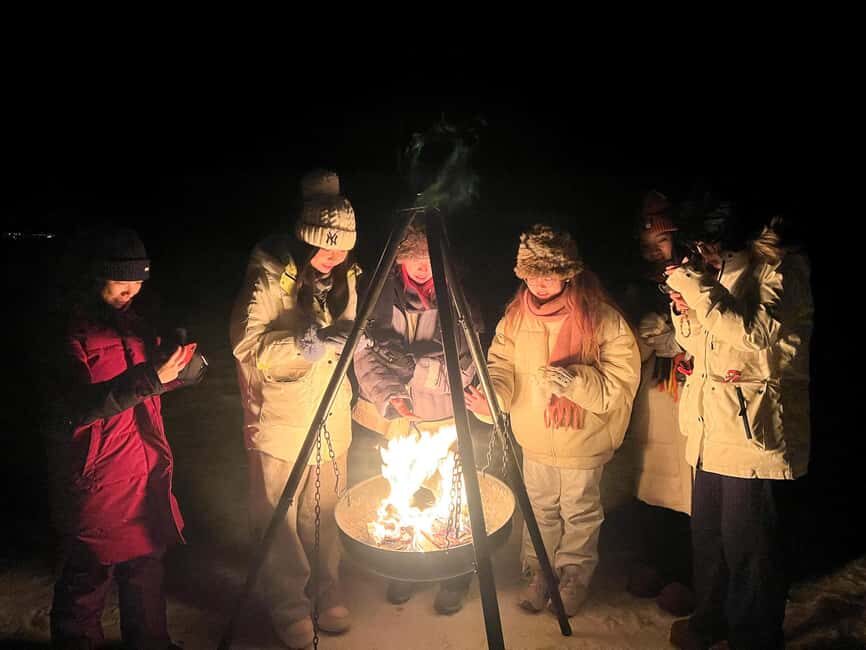 Tromsø: Full Night Magic of the Northern Lights - Expert Guides and Aurora Photo Help: What You’ll Notice in the Details