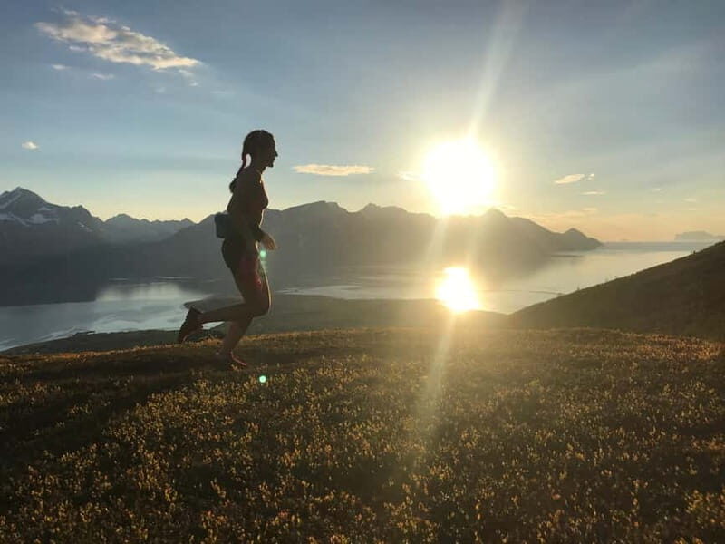 Tromsø: Guided Hiking Tour with Roundtrip Transfers - Key highlights worth caring about