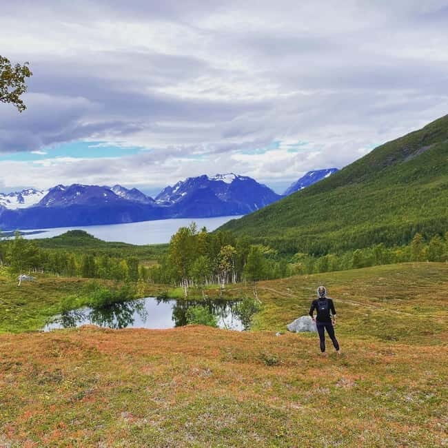 Tromsø: Guided Hiking Tour with Roundtrip Transfers - Tromsø mountains in four hours: midnight sun or fall color