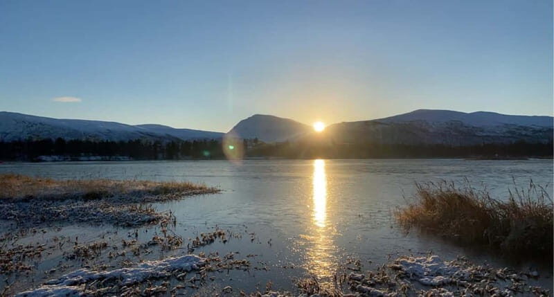 Tromsø: Guided Hiking Tour with Roundtrip Transfers - On the mountain with your guide: viewpoints, warmth, and local stories