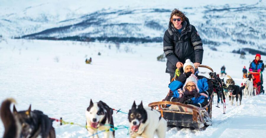 Tromsø: Guided Husky Sledding with Traditional Lunch - Key things that make this Tromsø husky tour worth your time