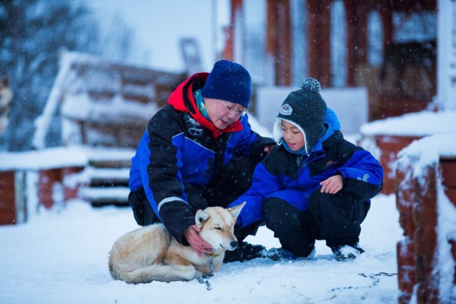 Tromsø: Guided Husky Sledding with Traditional Lunch - Practical tips: stay warm, handle slippery spots, and enjoy the shared sled