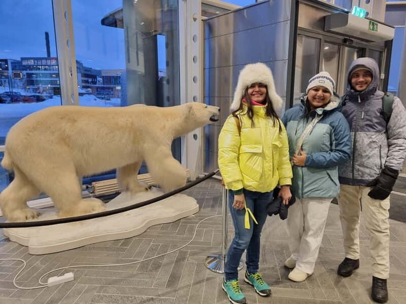 Tromsø: Guided Polar Bear Walk incl. Polaria & Polar Museum - Tromsø Cathedral to Polar Bear Stories: Why this walk works